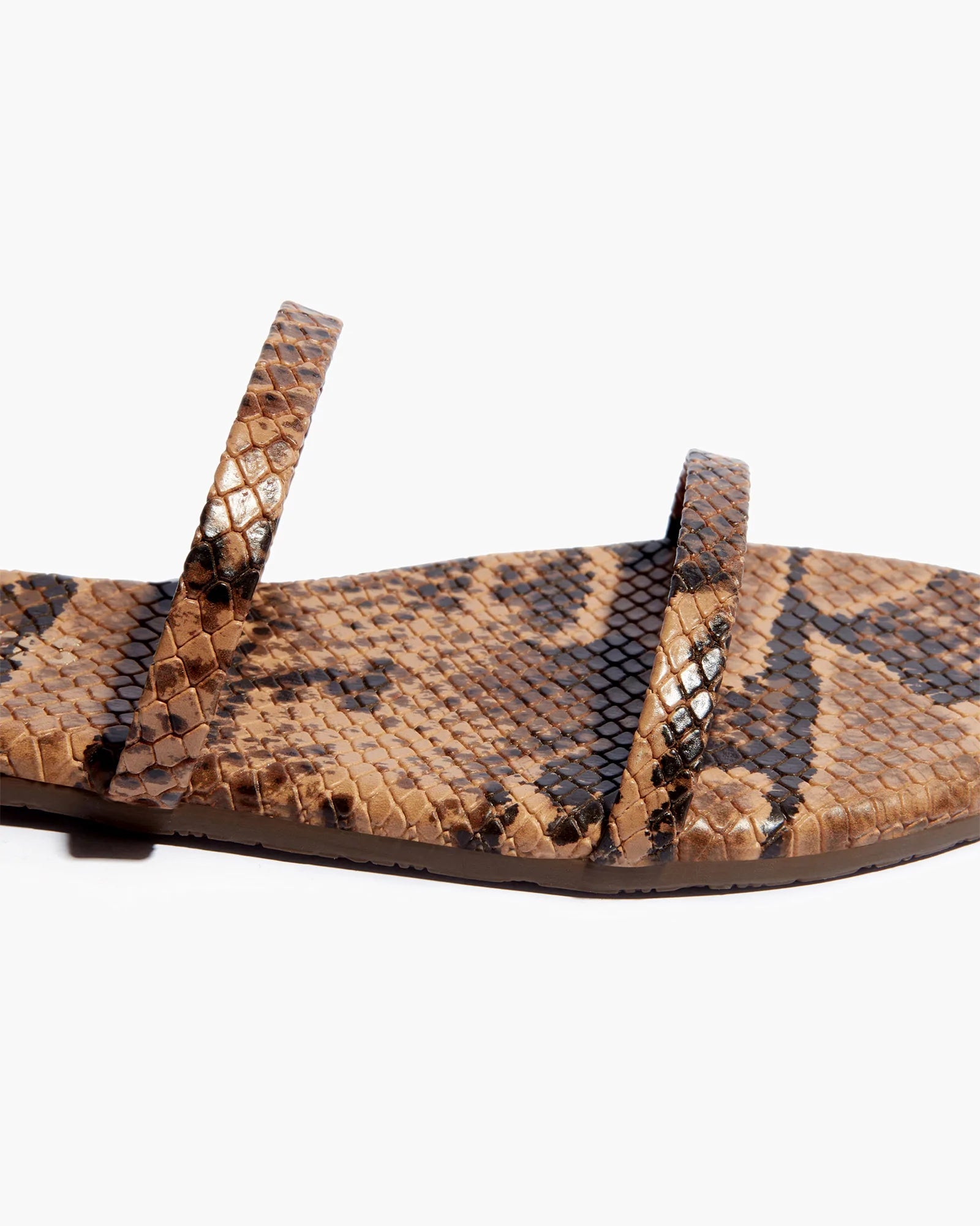Tkees snakeskin online