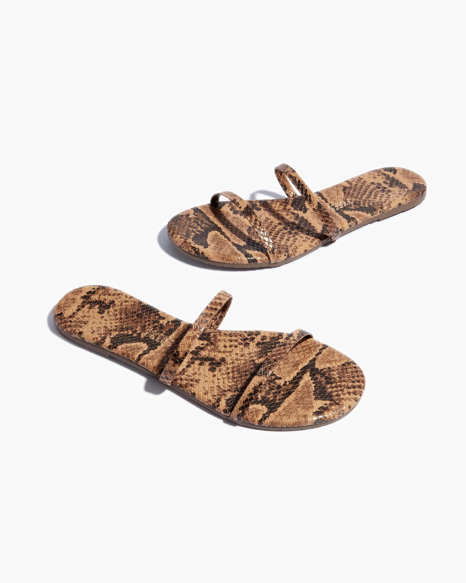 Tkees snakeskin 2024