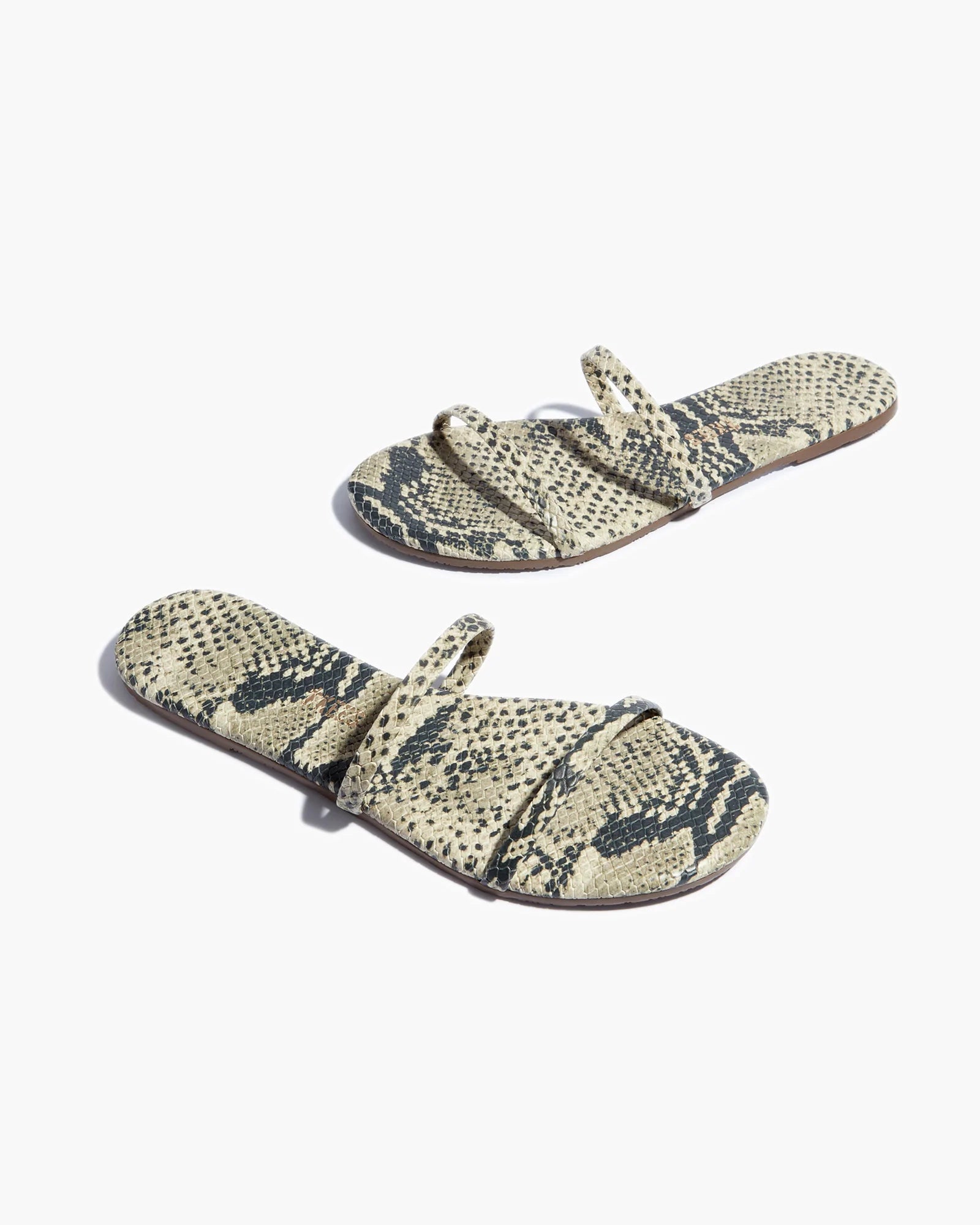 Tkees snakeskin discount flip flops